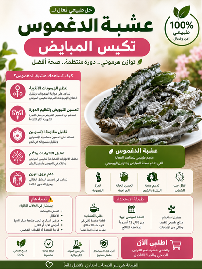 🌿 عشبة الدغموس الأصلية