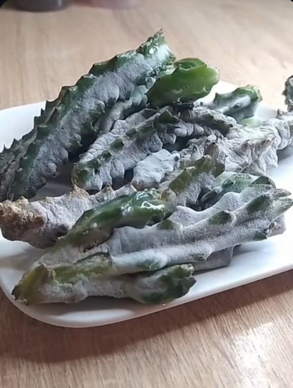 🌿 عشبة الدغموس الأصلية